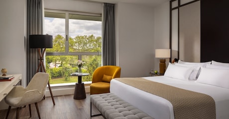 Room Superior Room with View